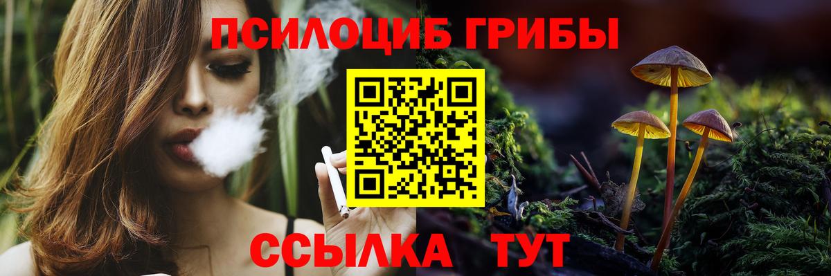 Галлюциногенные грибы Cubensis Черкесск